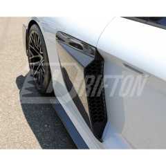 GT4 LMS Style Dry Carbon Fiber Side Blade For Audi R8 2016-2024