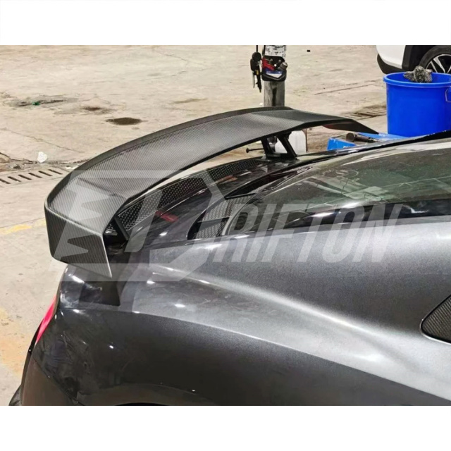 Paktechz Style Dry Carbon Fiber Front Lip For Audi R8 2020-2024