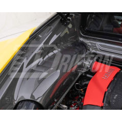 Dry Carbon Fiber Engine Bay Panels Set For Ferrari F8 Tributo 2019-2022