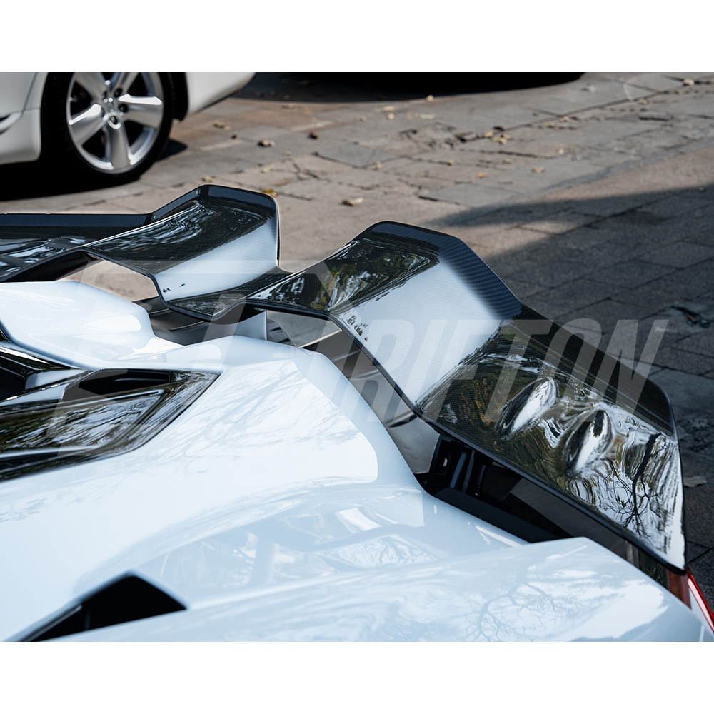 Mansory Style Dry Carbon Fiber Conversion Body Kits For Lamborghini Revuelto 2023-ON