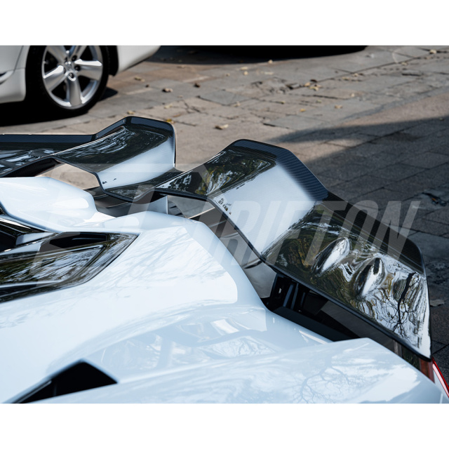Mansory Style Dry Carbon Fiber Conversion Body Kits For Lamborghini Revuelto 2023-ON