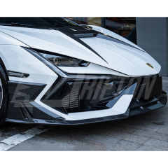 Mansory Style Dry Carbon Fiber Front Canards Side Panels For Lamborghini Revuelto 2023-ON