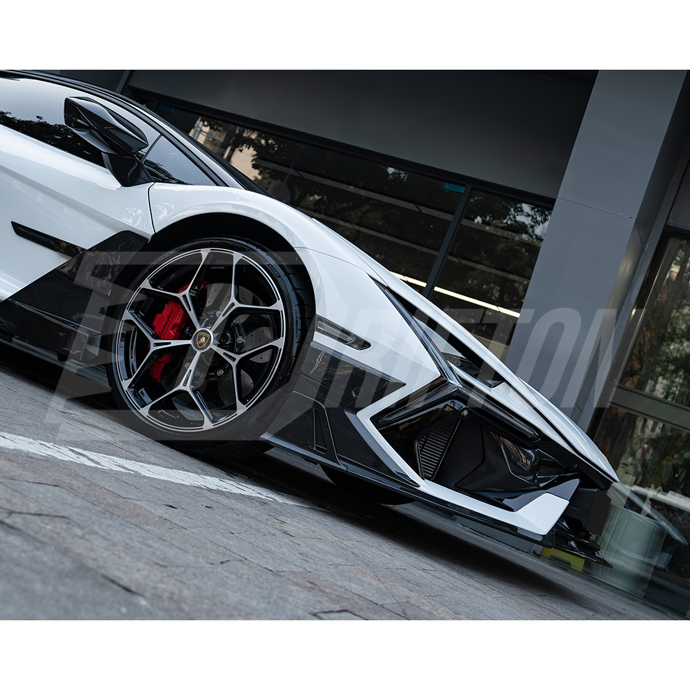 Mansory Style Dry Carbon Fiber Front Canards Side Panels For Lamborghini Revuelto 2023-ON