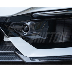 Mansory Style Dry Carbon Fiber Front Radar Cover For Lamborghini Revuelto 2023-ON