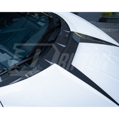 Mansory Style Dry Carbon Fiber Hood Bonnet For Lamborghini Revuelto 2023-ON