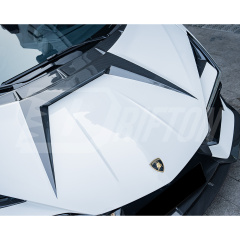Mansory Style Dry Carbon Fiber Hood Bonnet For Lamborghini Revuelto 2023-ON