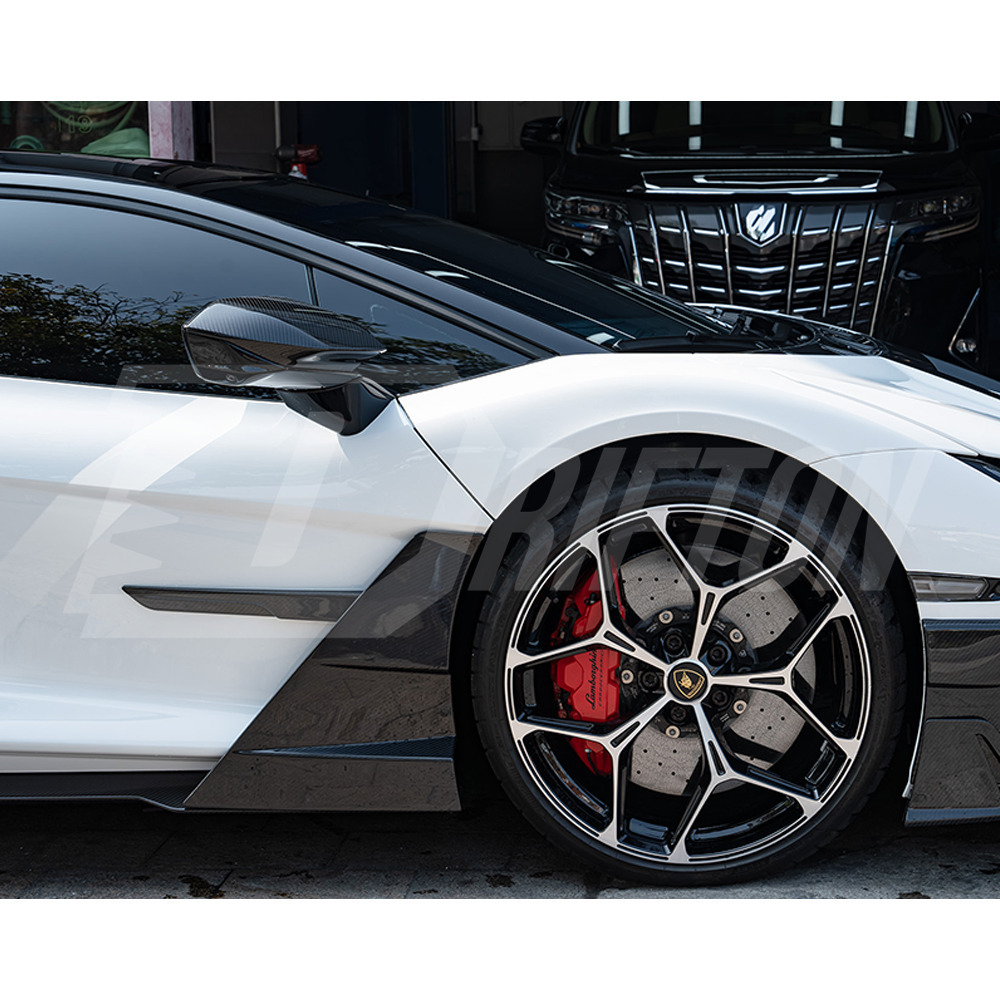 Mansory Style Dry Carbon Fiber Side Skirt Flap For Lamborghini Revuelto 2023-ON