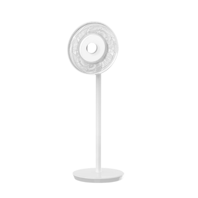 Pedestal Fan SF2101R