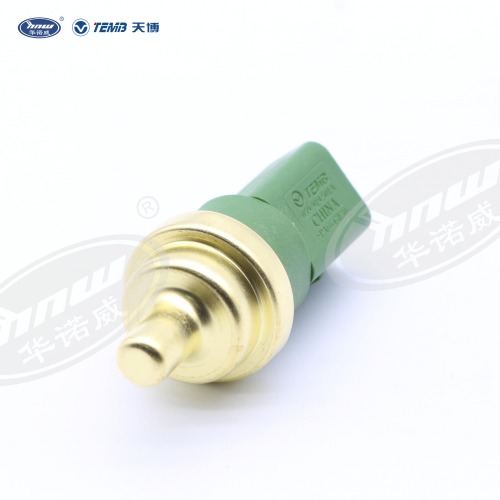 Water temperature sensing plug 059919501A