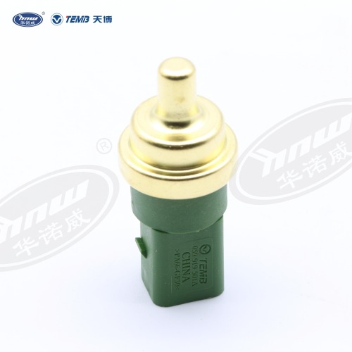 Water temperature sensing plug 059919501A