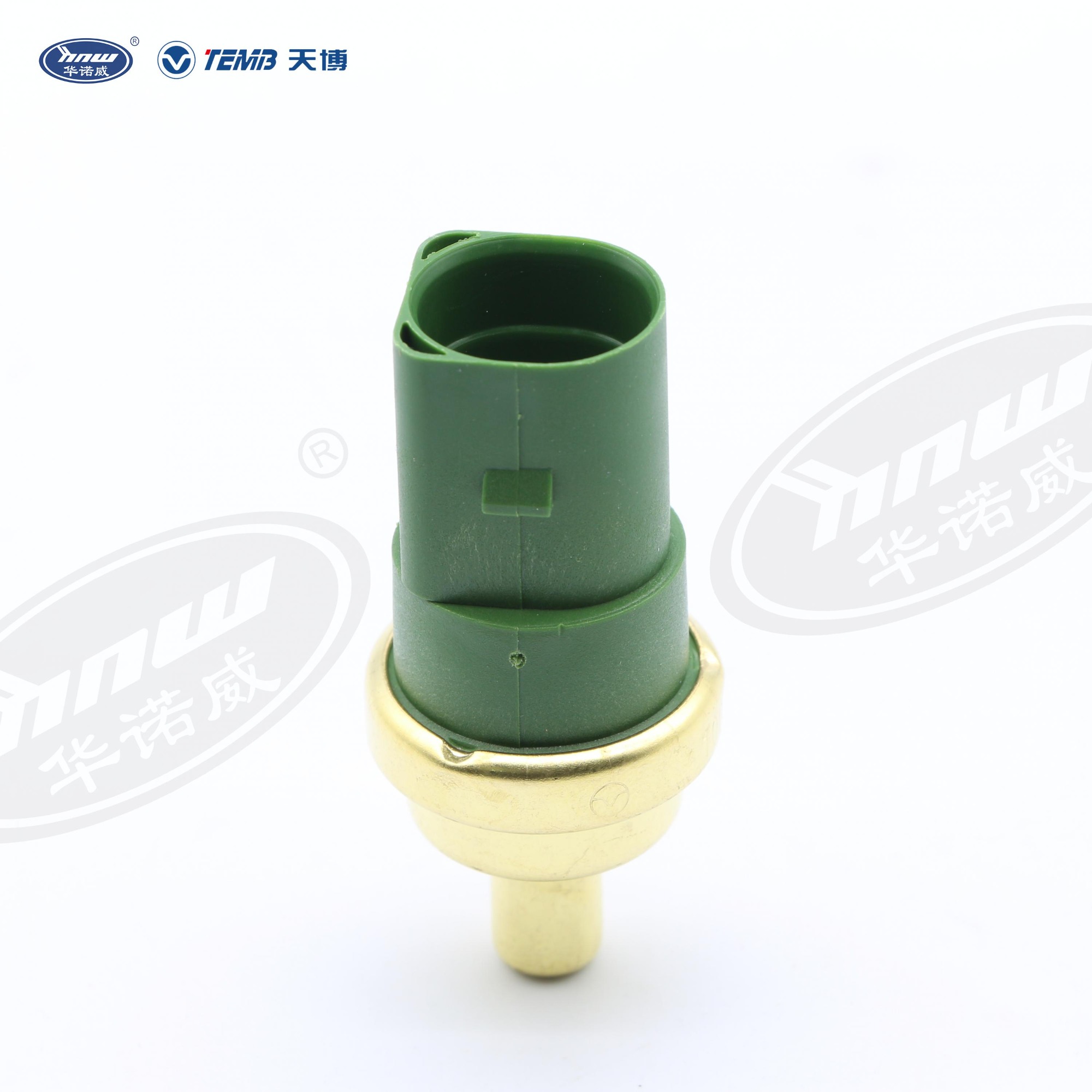 Water temperature sensing plug 059919501A