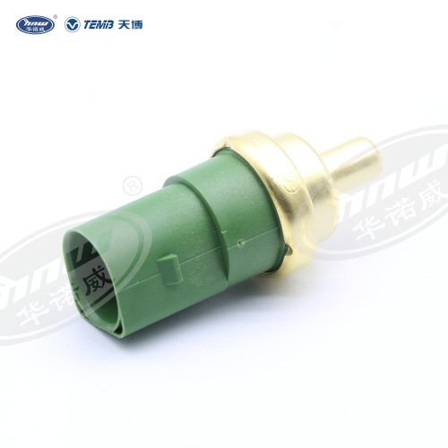 Water temperature sensing plug 059919501A