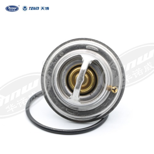 Common Thermostat 078121113F