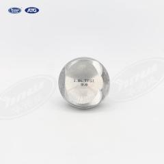 Piston Assembly 06J107065AG