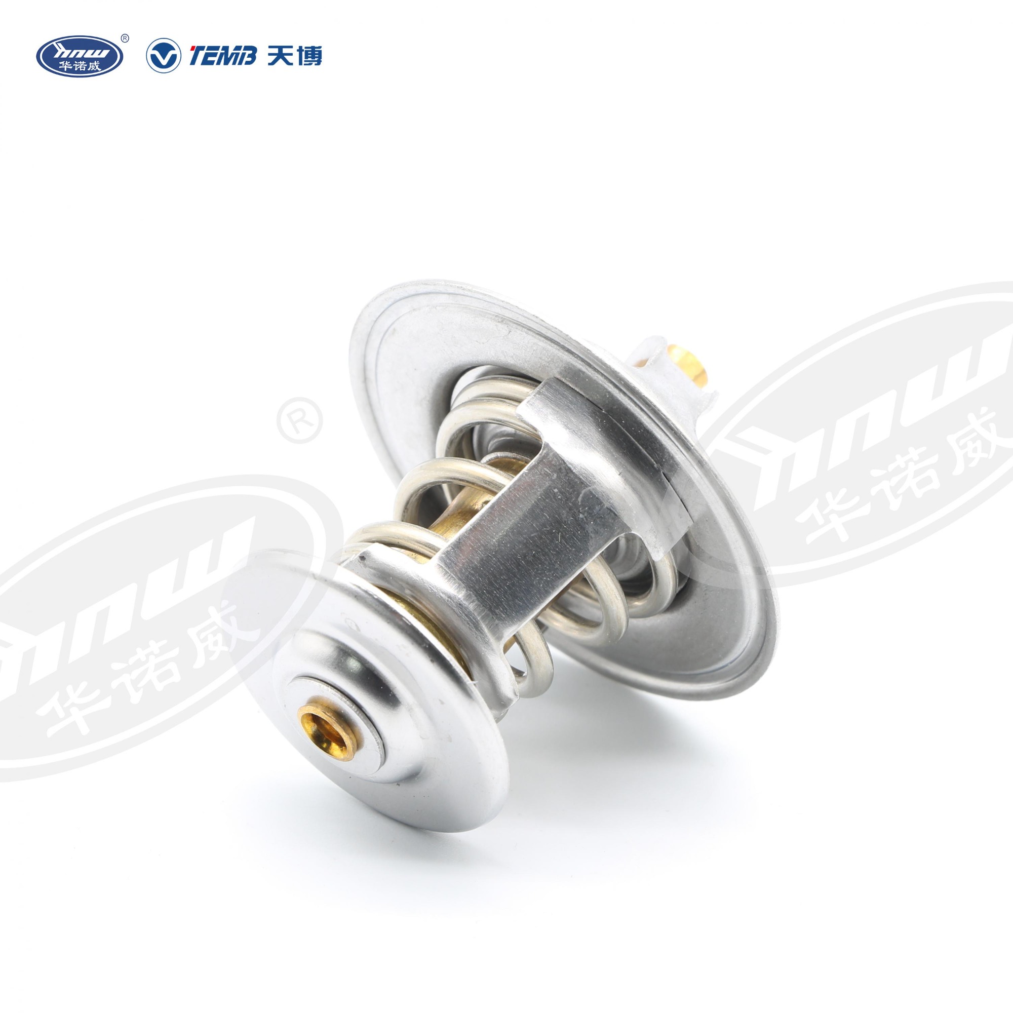 Common Thermostat 056121113D