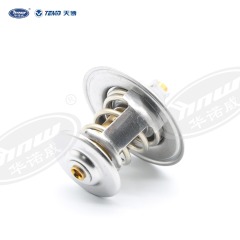 Common Thermostat 056121113D