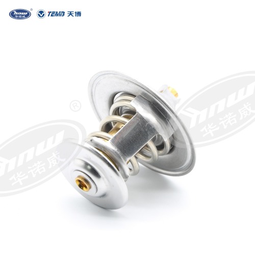 Common Thermostat 056121113D