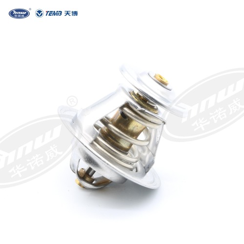 Common Thermostat 056121113D