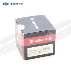 Common Thermostat 056121113D