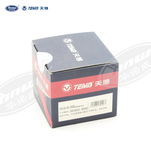 Common Thermostat 056121113D