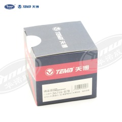 Common Thermostat 078121113F