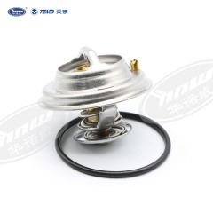 Common Thermostat 078121113F