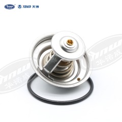 Common Thermostat 078121113F