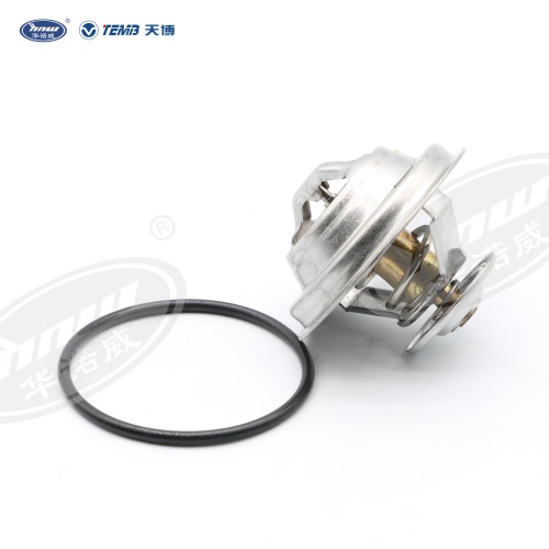 Common Thermostat 078121113F