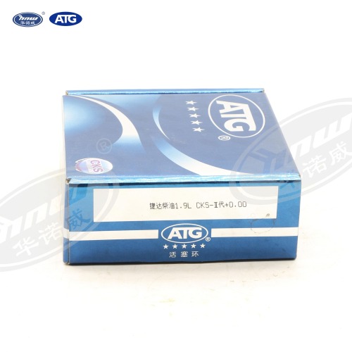 038198151 Piston Ring
