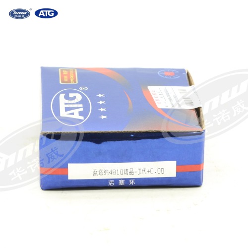 026198151D Piston Ring