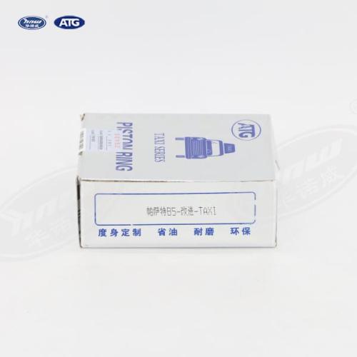 06B198151B Piston Ring