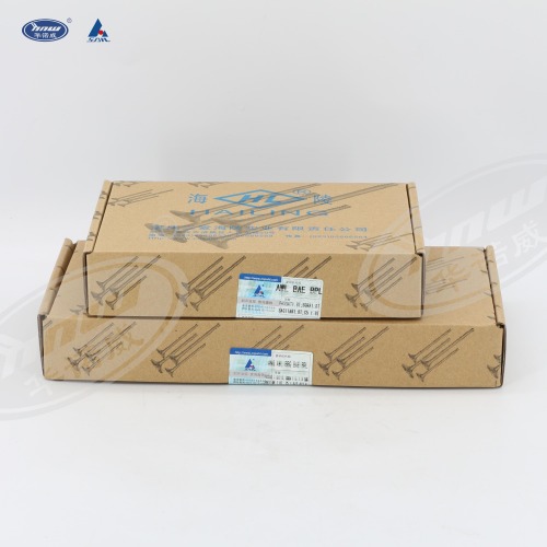 058109601C611E Intake and Exhaust Valves