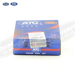 026198151D Piston Ring