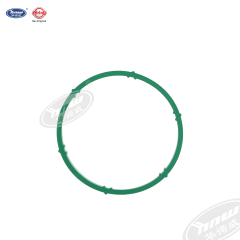 Intake Manifold Gasket 06A133398