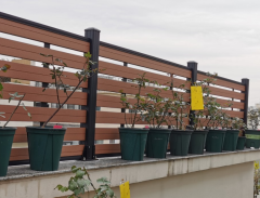 Horizontal Fence Panels