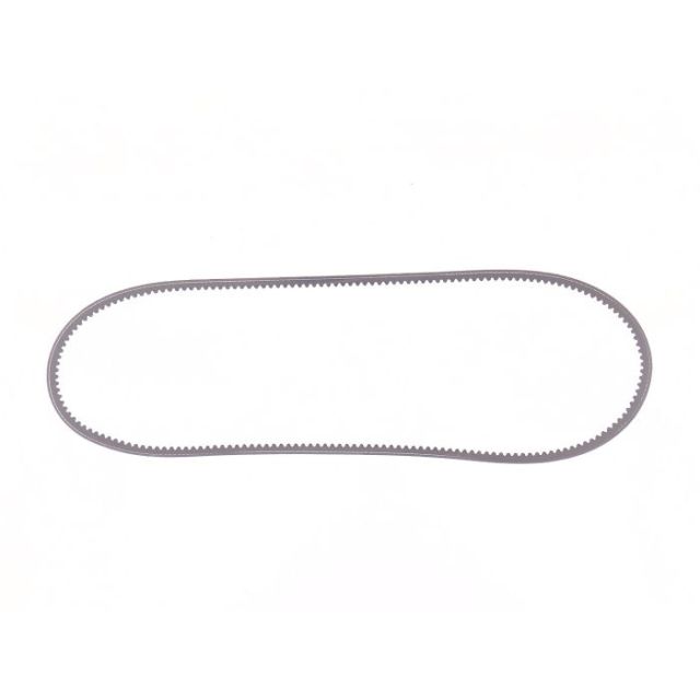 Alternator Belt 6675837