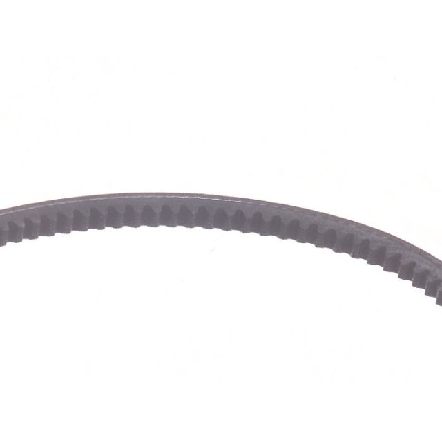 Alternator Belt 6686655