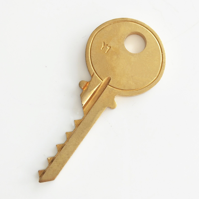 High Security Y1 Brass Bump Keys Locksmith Tools Lock Open