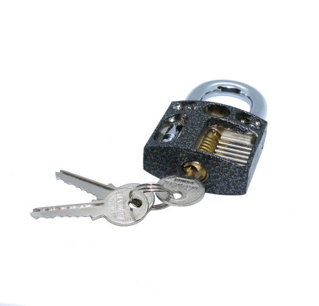New Design Practice Zinc alloy Cutaway Locksmith Tools Padlock Padlock Lockpick Sets
