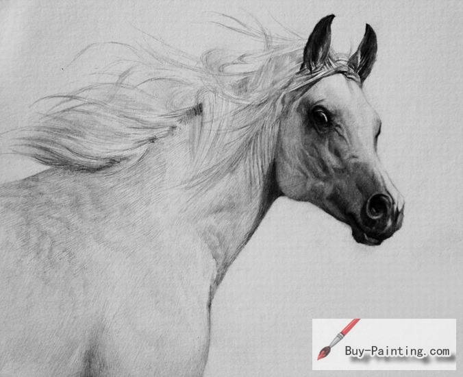 Custom Drawing-A long hair dog