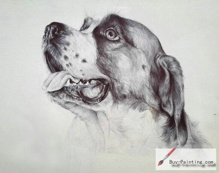 Custom Drawing-White dog