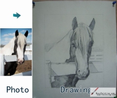 Custom Drawing-A horse in a fence