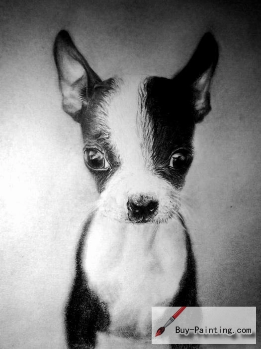 Custom Drawing-A dog with a stick in his mouth