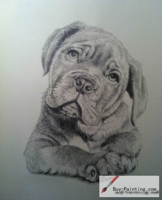 Custom Pencil Drawing-A thoughtful dog