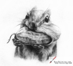 Custom Pencil Drawing-Pet rat eating