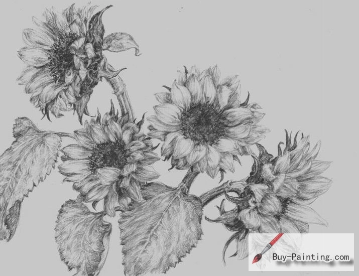 Custom Drawing-Sunflowers