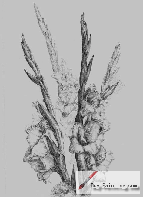 Custom Drawing-Flowers