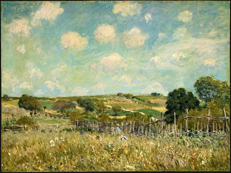 Meadow, 1875