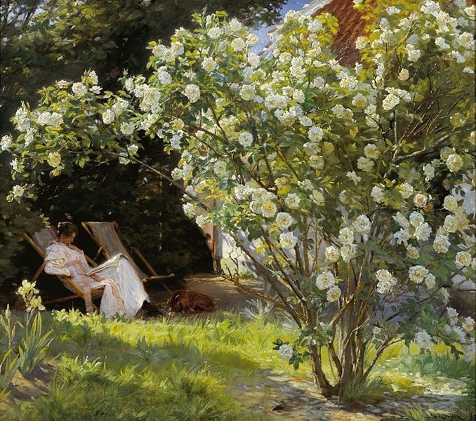 Roses, 1893