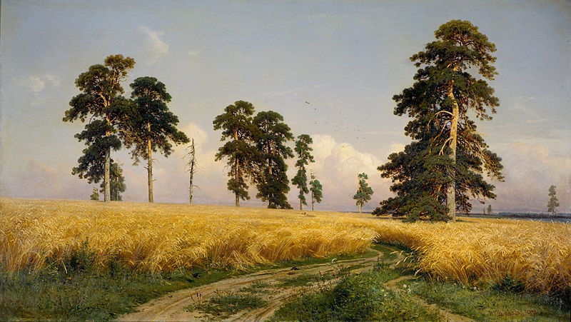 A Rye Field